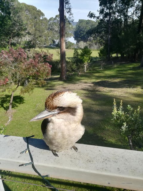 Gipsy Point Lodge & Cottages - Accommodation QLD 8