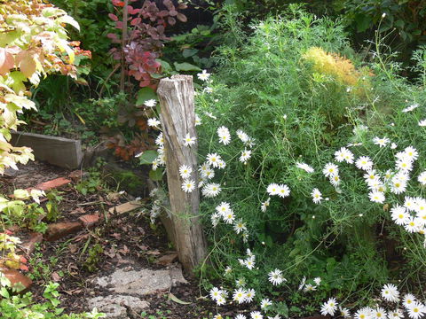 Fairbank House - Accommodation QLD 26