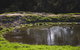 Limosa Rise - thumb 15