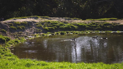 Limosa Rise - Accommodation QLD 15