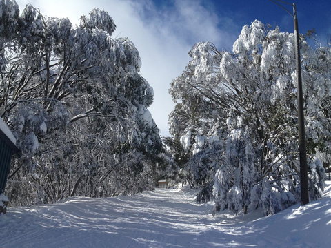 Maisonettes Falls Creek - Accommodation QLD 17