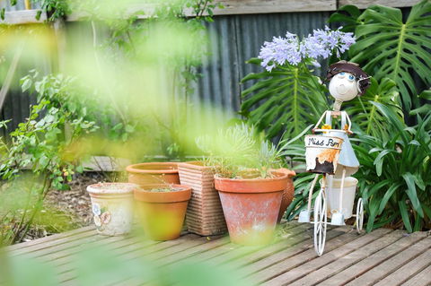 Miss Pym's Cottage - Accommodation QLD 7