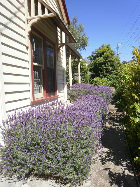 Miss Pym's Cottage - Accommodation QLD 44