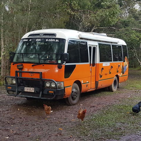 The Cabin - Accommodation QLD 3