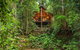 The Canopy Rainforest Treehouses & Wildlife Sanctuary - thumb 0