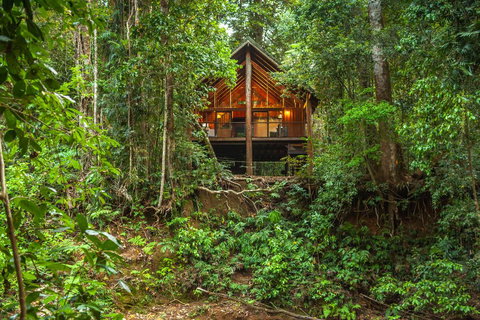 The Canopy Rainforest Treehouses & Wildlife Sanctuary - Accommodation QLD 0