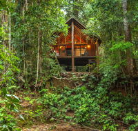 The Canopy Rainforest Treehouses  Wildlife Sanctuary - Accommodation QLD