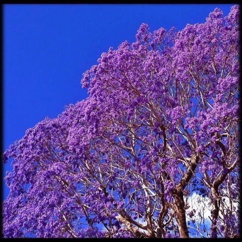 The Church - Accommodation QLD 3