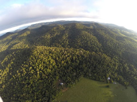 The Jungle Stays - Accommodation QLD 1