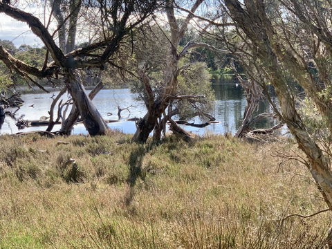 The Lake House - Accommodation QLD 0