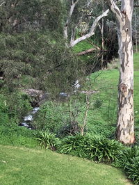 Book Cockatoo Valley Accommodation Vacations Accommodation QLD Accommodation QLD