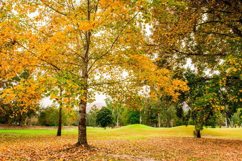 The Retreat At Wisemans - Accommodation QLD 1