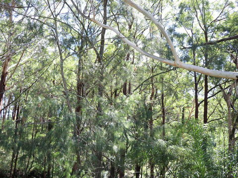 The Shaka Shack - Accommodation QLD 1