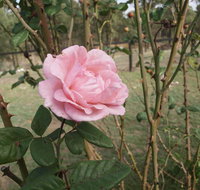 The Table Guest House - Accommodation QLD