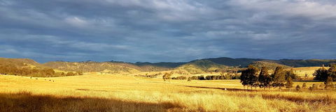 The Wattle Lodge - Accommodation QLD 1