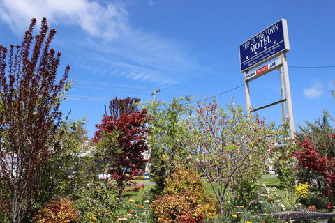 Top Of The Town Motel - Accommodation QLD 1