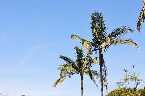 Town And Country Motel - Accommodation QLD 1