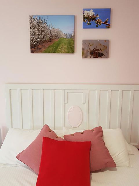 Town House Motor Inn Young - Accommodation QLD 1