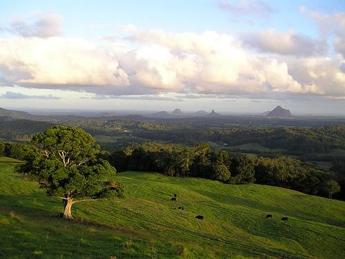 Maleny QLD Accommodation QLD