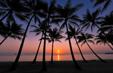 Tranquility Relax Palm Cove - Accommodation QLD 1