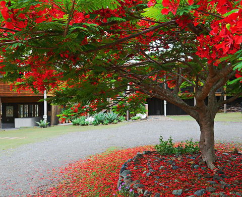 TRANQUILO BEACH HOUSE - Accommodation QLD 2