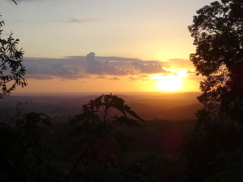 Treetops Montville - Accommodation QLD 3