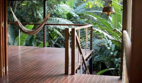 Treetops Retreat Cairns - Accommodation QLD 1