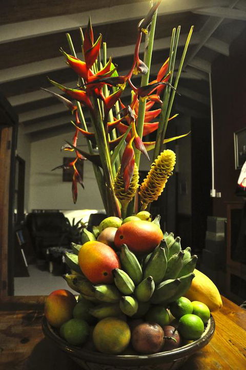 Tropical Bliss Bed And Breakfast - Accommodation QLD 3