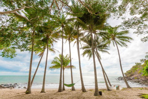 Turtle Cove Beach Resort - Adults Only LGBTQIA & Allies - Accommodation QLD 3
