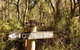 Twin Falls Bush Cottages - thumb 3