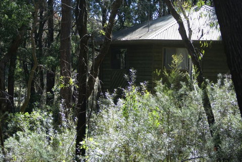 Twin Falls Bush Cottages - Accommodation QLD 0