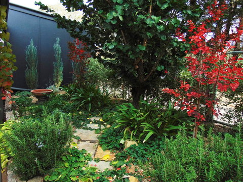 Twin Palms Castlemaine - Accommodation QLD 1