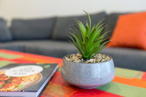 Urban Jungle! Executive Apartment In Heart Of CBD - Accommodation QLD 1