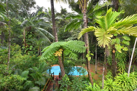 Wait A While Daintree - Accommodation QLD 3