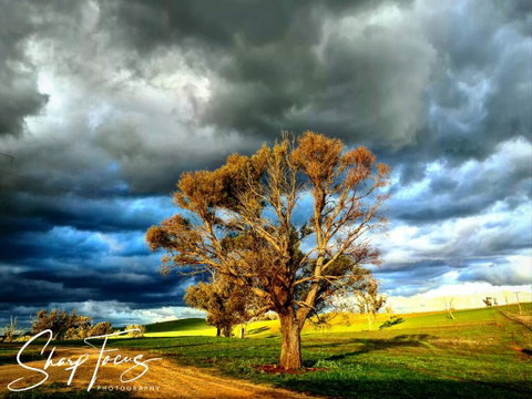 Wantana Cottage Farmstay - Accommodation QLD 2