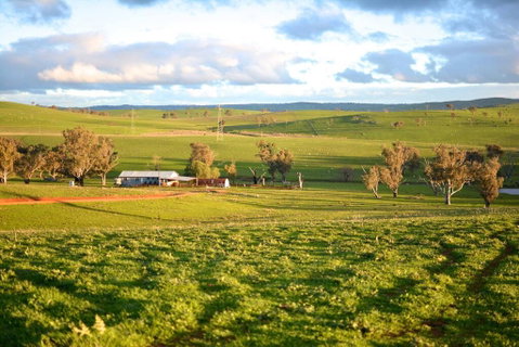 Wantana Cottage Farmstay - Accommodation QLD 0