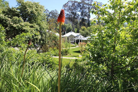 Amelina Cottages - Accommodation QLD 23