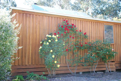 Bluegum Ridge Cottages - Accommodation QLD 23