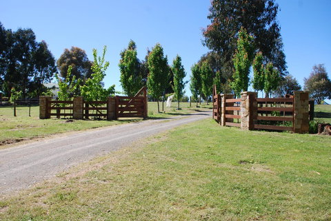 Bluegum Ridge Cottages - Accommodation QLD 2