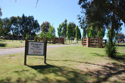 Bluegum Ridge Cottages - Accommodation QLD 1