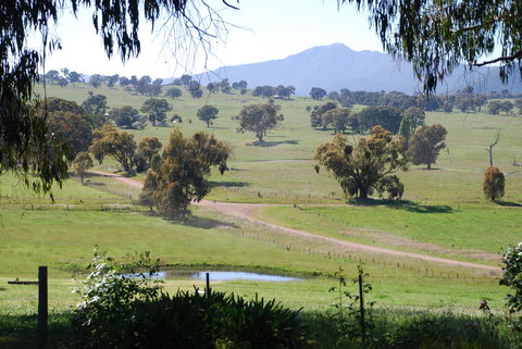 Bluegum Ridge Cottages - Accommodation QLD 31