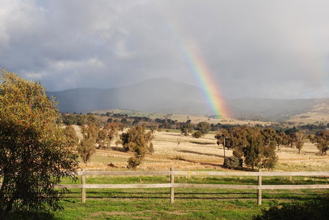 Bluegum Ridge Cottages - Accommodation QLD 32
