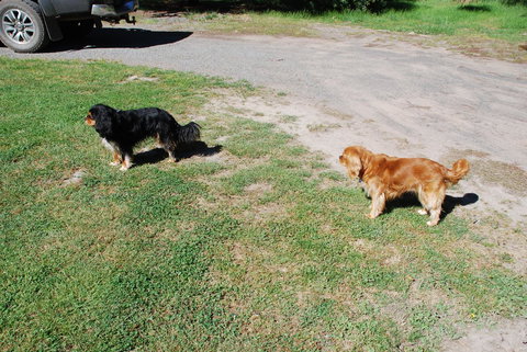 Bluegum Ridge Cottages - Accommodation QLD 6