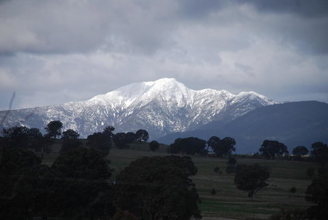 Bluegum Ridge Cottages - Accommodation QLD 35