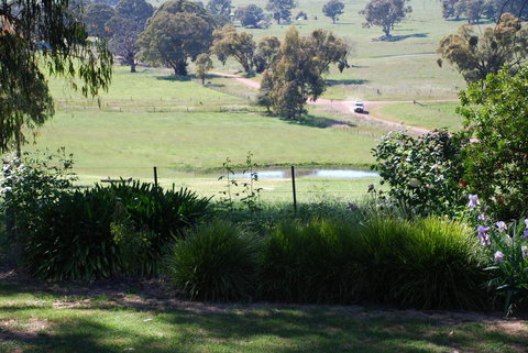 Bluegum Ridge Cottages - Accommodation QLD 30