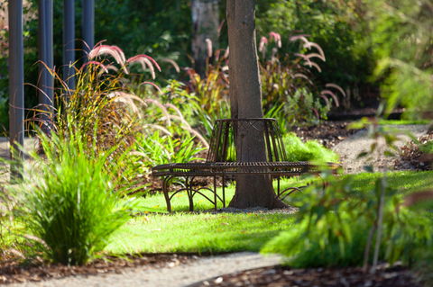 Blazing Stump Motel & Suites - Accommodation QLD 35