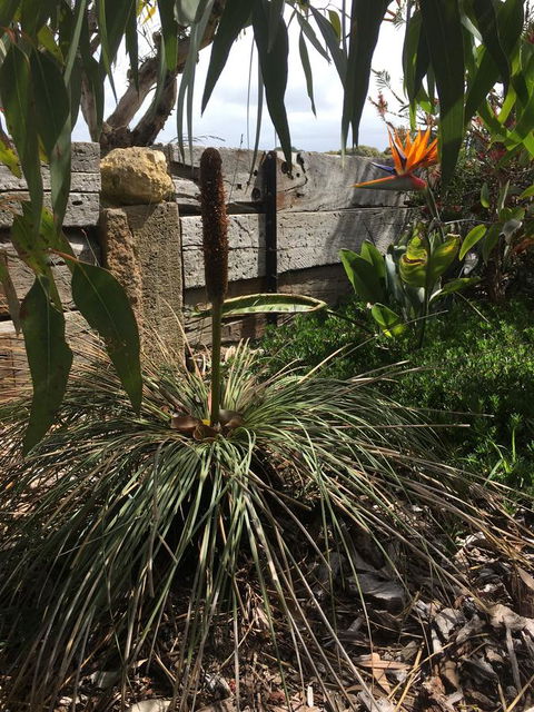 The PC Cottage - Accommodation QLD 32