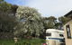 Hillâ€™s Creek Holiday Home - thumb 6