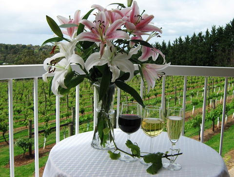 Waybourne- Vineyard And Winery - Accommodation QLD 10