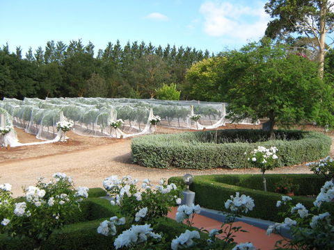 Waybourne- Vineyard And Winery - Accommodation QLD 5